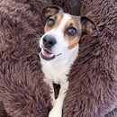 Legowisko Chmurka Goldie ze zdejmowanym pokrowcem - HIT!