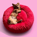 Legowisko Chmurka Goldie ze zdejmowanym pokrowcem - HIT!