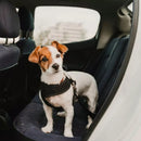 Smycz do auta - łącznik do pasów bezpieczeństwa